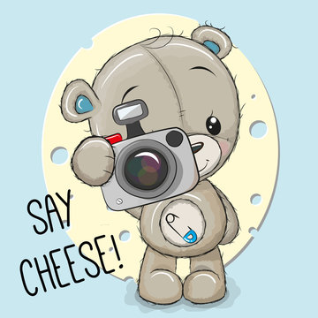 Teddy Bear with a camera on a cheese background