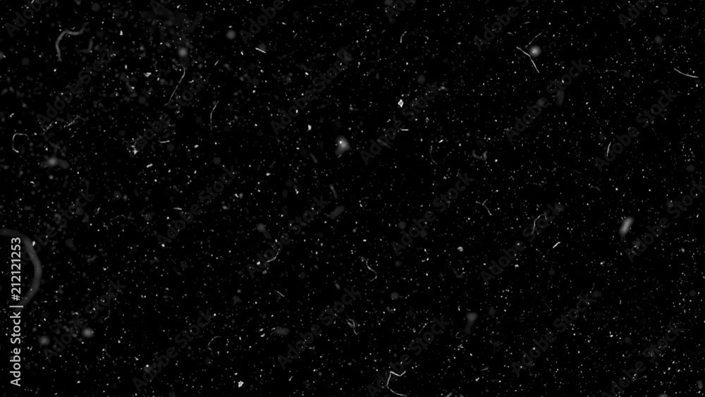 Poster natural organic dust particles floating on black background. glittering sparkling particles randomly