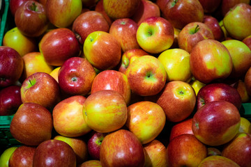 Pears trout in the supermarket.