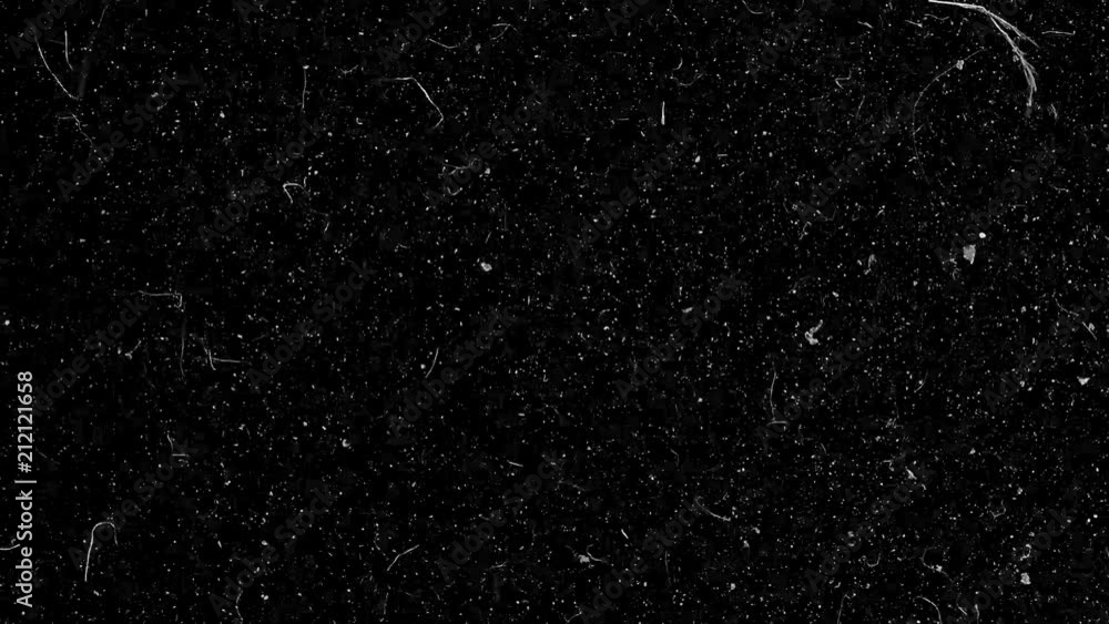 Poster natural organic dust particles floating on black background. glittering sparkling particles randomly