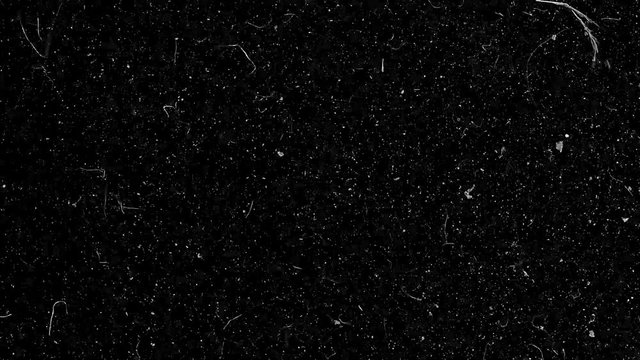 Natural organic dust particles floating on black background. Glittering sparkling particles randomly spin in the air. White dynamic particles