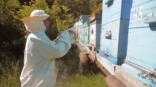 the beekeeper working in the apiary bees fly swarm multi colored beehive slow motion video. bee-maker beekeeper man working of a smoke lifestyle pipe beeper wooden hives smoker device for repelling