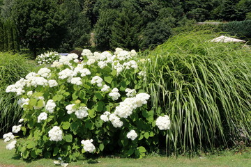 moderne gartenanlagen bilder, bilder und videos suchen: "moderne gartenanlagen", Design ideen
