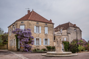 Fototapeta na wymiar Wisteria growing up an old stone house in the picturesque town of Flavigny sur Ozerain, Burgundy, France