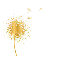 dandelion golden glitter background. delicate soft background. greeting card. 