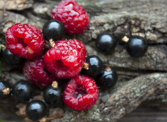 Ripe berries of raspberry and black currant on a tree bark. Still life close up