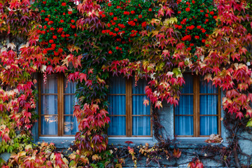 Fototapeta na wymiar autumn window closed