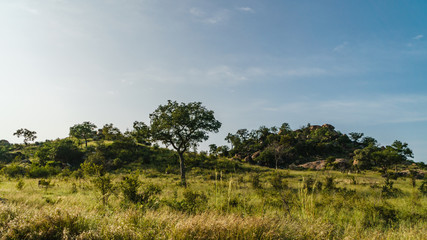 Fototapeta na wymiar Landschaft, Limpopo, Südafrika, Afrika