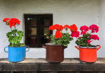 red geranium flowers in metallic pot on wooden railing old rural house window in background