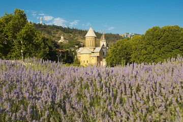 Churches surrounded by lavender in Tbilisi Georgia 
