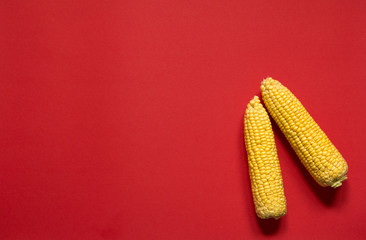 corn healthy vegetarian food red background © natalysavina