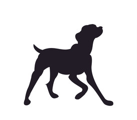 dog sitting, silhouette, vector