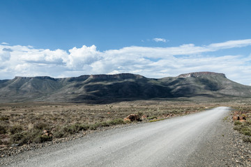 Karoo Gravel Road 