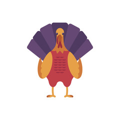 Turkey bird front view icon. Thanksgiving holiday, autumn harvest celebration traditional american meal for home party. Seasonal festive food, decoration element. Vector illustration