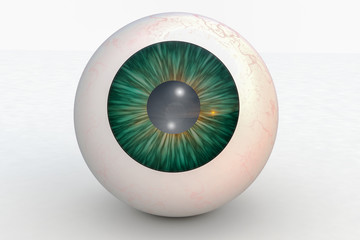 one eyeball in front of isolated background (3d rendering)