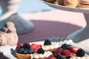 Delicious sweet buffet with cupcakes, berries, macaroons and other desserts. Wedding or Event decoration table setup in blue colors. Outdoors, summer time. Luxurious catering concept