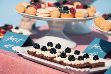 Delicious sweet buffet with cupcakes, berries, macaroons and other desserts. Wedding or Event decoration table setup in blue colors. Outdoors, summer time. Luxurious catering concept
