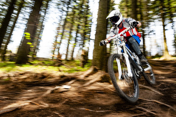 Mountainbiker rides in forest on sunny day