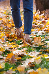 women's shoes in autumn foliage