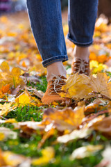 Fototapeta na wymiar women's shoes in autumn foliage