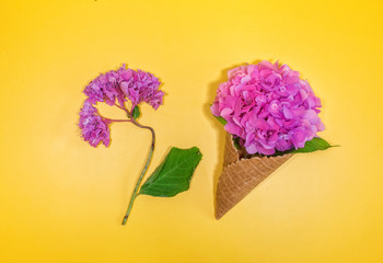 ice cream cones with beautiful hydrangea flowers. Trendy fashion Style. Spring Summer Floral concept. Creative Minimal. Pink Blossom, Bright Color. Art