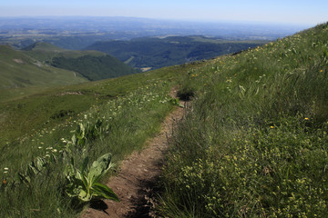 Fototapeta premium Les Vosges