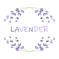 Lavender flower round frame on white. Vector packaging design template and emblem - beauty and cosmetic oil - lavender.