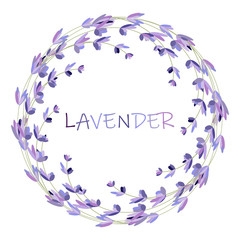 Lavender flower round frame on white. Vector packaging design template and emblem - beauty and cosmetic oil - lavender.