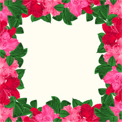 Floral frame festive background with blooming branches  pink and red flowers rhododendrons vector Illustration  greeting card editable hand draw