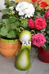 Dekoration Metallfrosch lustig zwischen Blumen auf einem Balkon