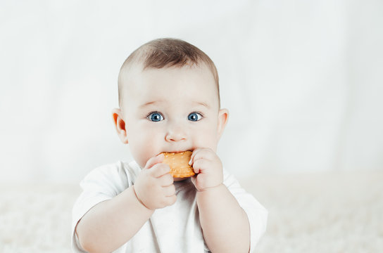 adorable baby eating a cookie
