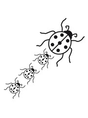 kinder babys mama junge schwanger familie papa marienkäfer klein süß niedlich rot punkte schwarz krabbeln frühling