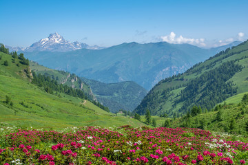 Monviso