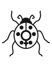 frau weiblich zeichen symbol venus mädchen baby kind marienkäfer klein süß niedlich rot punkte schwarz krabbeln frühling