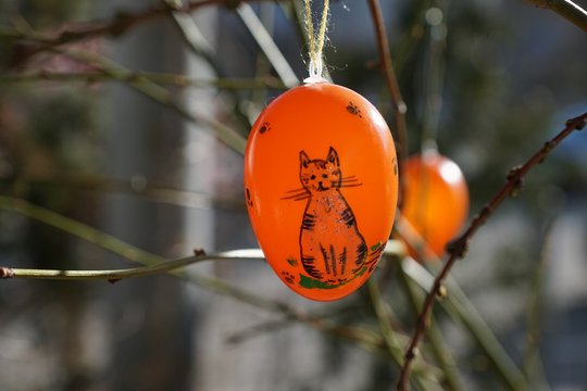 osterei mit einer tigerkatze im garten