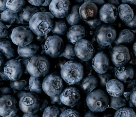 Background of ripe blueberries, top view.
