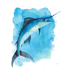 Watercolor Marlin Fish
