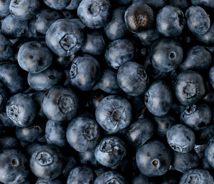 Background of ripe blueberries, top view.
