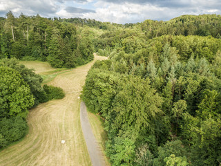 Aerial view of street through forest on summer evening