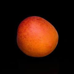Ripe apricot
