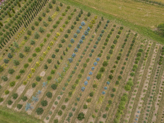 Aerial view of rows of cultivated young plants in plant nursery in Switzerland, Europe