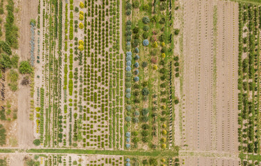 Aerial view of rows of cultivated young plants in plant nursery in Switzerland, Europe