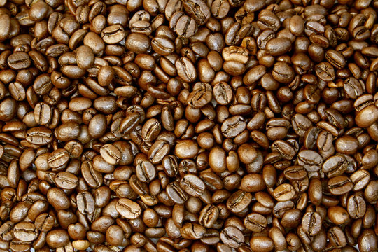 Coffee beans © Stillfx