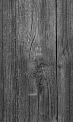 Close-up of an old and unpainted rustic wood board texture background in black and white