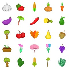 Botany icons set. Cartoon set of 25 botany vector icons for web isolated on white background