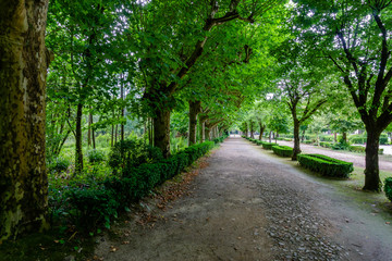 Park in Curia; Tamengos; Anadia; Portugal.