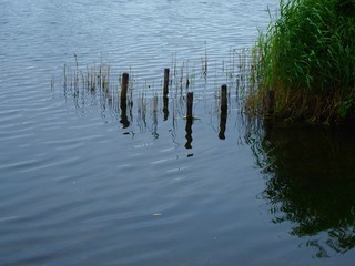 Wooden posts reflected in the water at the edge of a lake