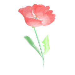 vector imitation of watercolor pattern of red flower