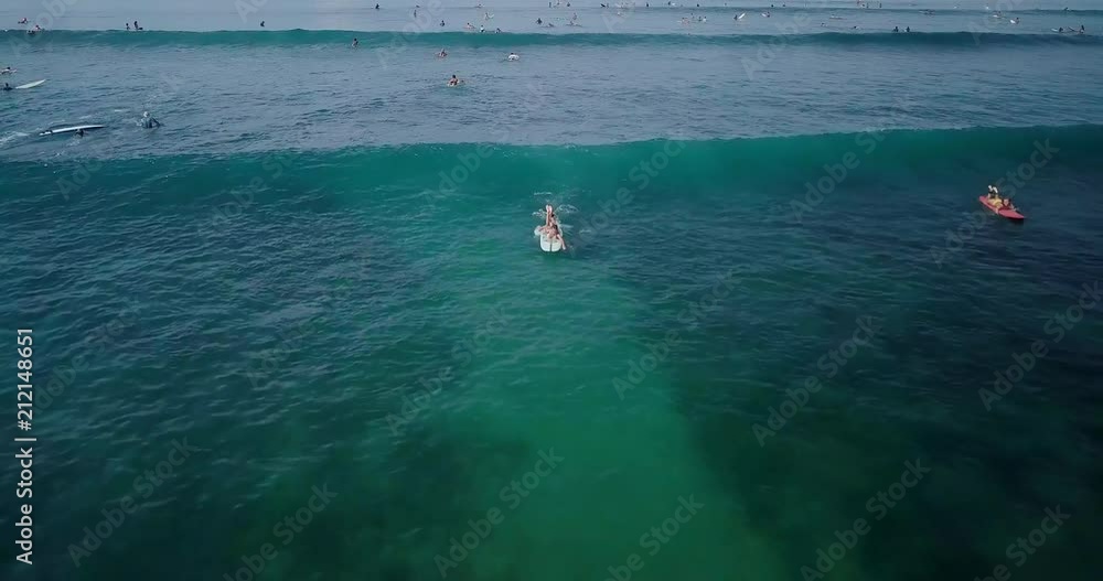 Wall mural fitness surfer woman in sexy bikini with surfing longboard. girls have fun and surf holding each oth