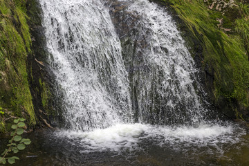 Waterfall Blackforest